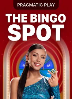 The Bingo Spot